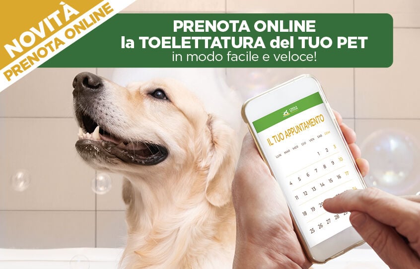 Prenota subito qui il tuo appuntamento in toelettatura!